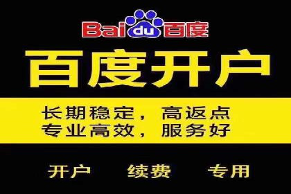 SEM托管服务成功案例：让广告投放更精准、更高效